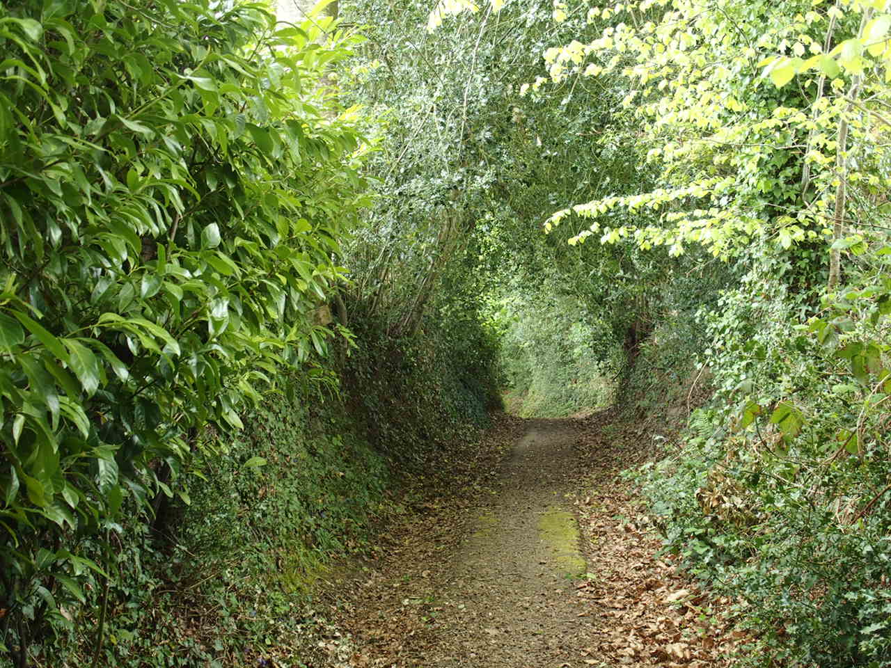 Aucune photo pour cette étape.